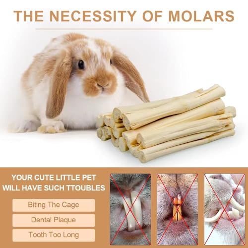 300g Guinea Pig & Rabbit Chew Toys with Apple & Timothy Sticks (300g)