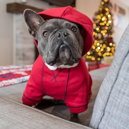 Essentials Hoodie (12 inch (Pack of 1) / Dog Hoodie - Red)