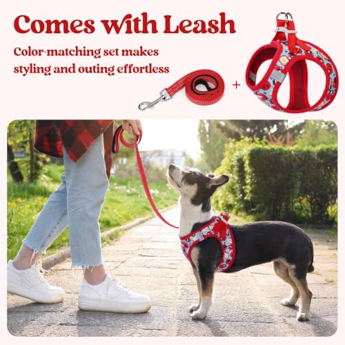 Dog Harness Small Sized and Leash Set (Apple Pups / Xxs (chest: 12.4 - 14.2"))