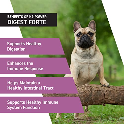 Digest Forte Advanced Digestive & Immune Support for Dogs (1 lb (Pack of 1))