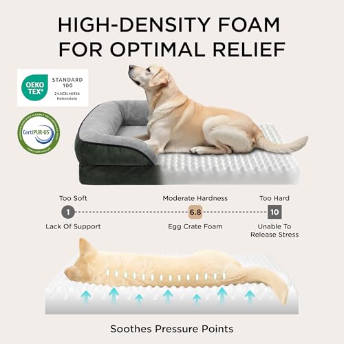 Orthopedic Dog Beds Large Sized Dog (Dark Green / 35"l X 25"w X 6.5"th)
