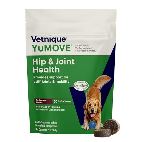 Adult Dog Hip & Joint Soft Chews (60ct Chews)