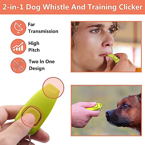 Dog Training Kit (Grey)