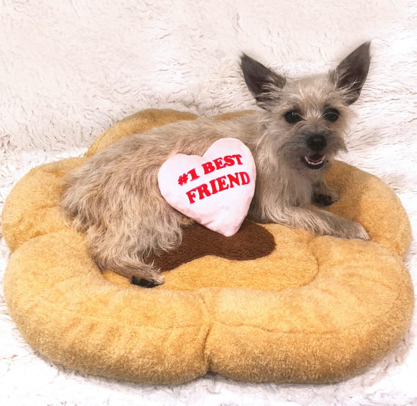 Soft Plush Small Cute and Cozy Nature Dog Cat Bed (Paw)