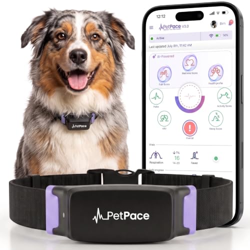 NEW Dog Health Monitor V3.0 by PetPace (Large)