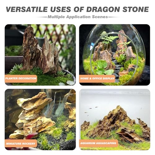 Aquarium Rock Dragon Stones 10lb Natural Rock for Fish Tank (10LB(2-6 inches))