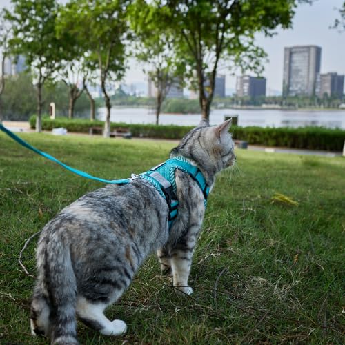 Cat Harness and Leash Set (Turquoise / X-Large)