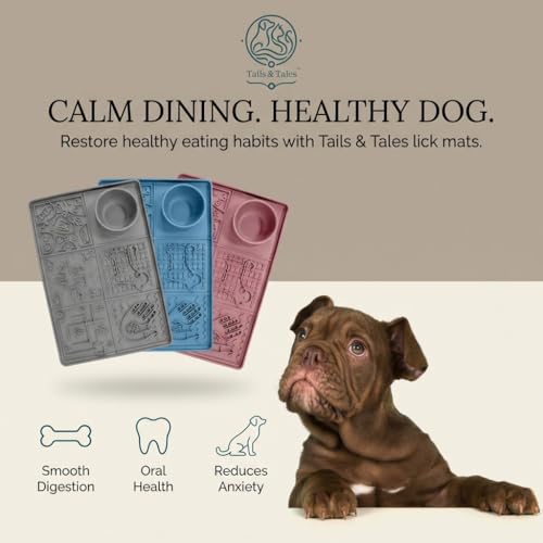 Dog Lick Mat Large 11.2 x 16.7 in Slow Feeder with Strong Suction (Gray)