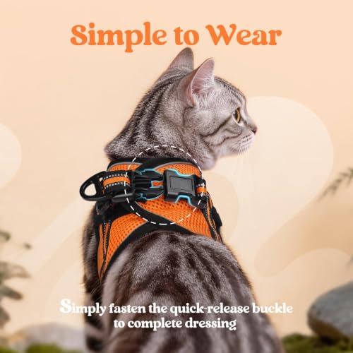 Cat Harness and Leash Set (M / Orange)