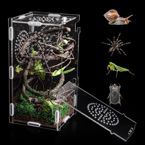 Jumping Spider Enclosure (Small-8''x4''x4'')