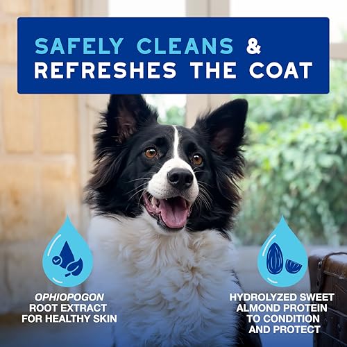 SPA Waterless Dog Shampoo