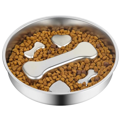 Non Slip Stainless Steel Slow Feeder Dog Bowl (2 Cups)