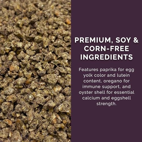 Layer Crumb Feed (40 Pound / Crumb)