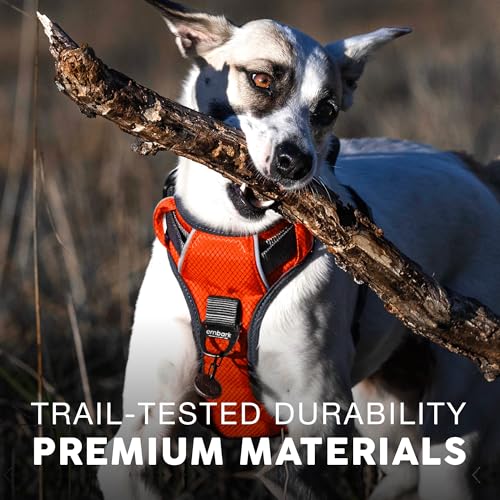 Embark No Pull Dog Harness (M / Orange)
