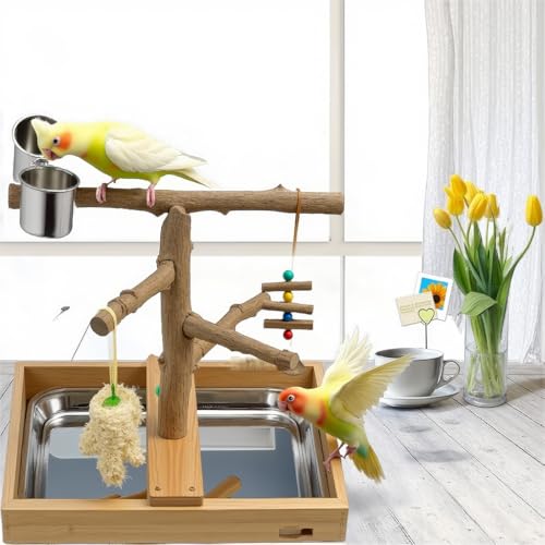 Bird Perch Stand (Style B)