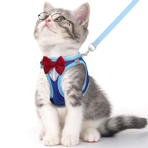 Cat Vest Harness and Leash Set (Blue / S)