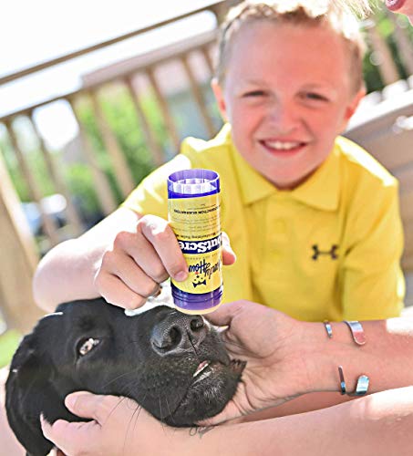 SnoutScreen Dog Sunscreen Balm for Nose & Paws (2 Ounce (Pack of 1))