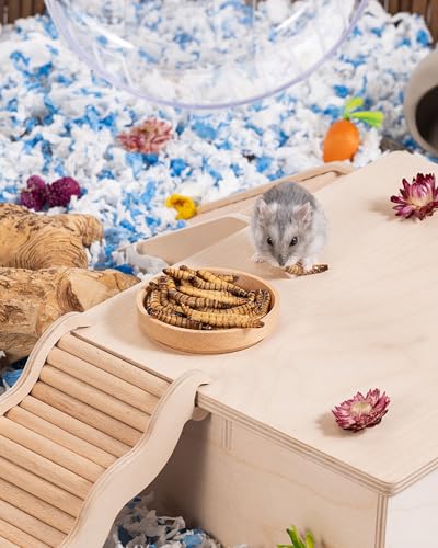Small Animal Snack & Treats