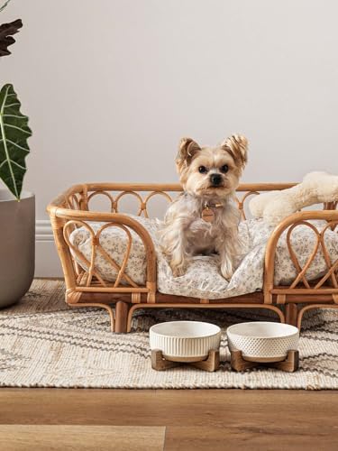 Ceramic Dog and Cat Bowl Set with Acacia Wood Stand (S-2 Cups / Lines+Dot)