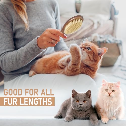 Soft Cat Brush (White Boar Bristle)