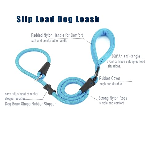 Slip Lead Dog Leash (1/2"×4ft / Blue)