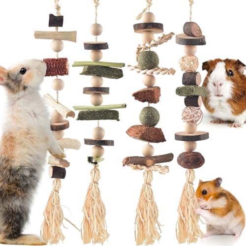 4 Pcs Bunny Chew Toys for Teeth (4 Pcs)