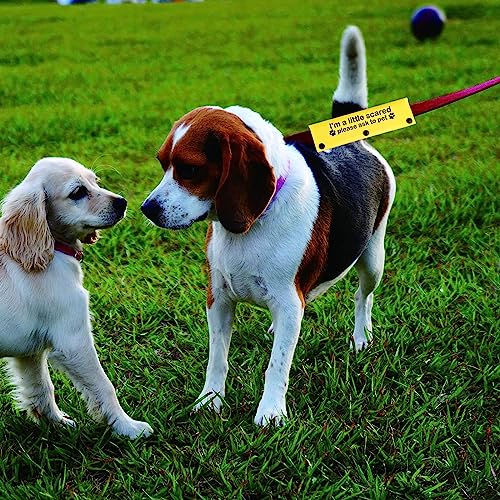 Funny Dog Leash Sleeve I'm a Little Scared Please Ask to pet Leash Wrap Alert Hanging ID Patch Tag Pet Birthday Gift (Little Scared-ye Sleeve)