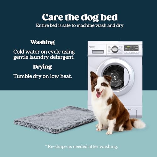 Stoutwool Indestructible Dog Bed (23.0"L x 16.0"W x 2"Th / Charcoal)