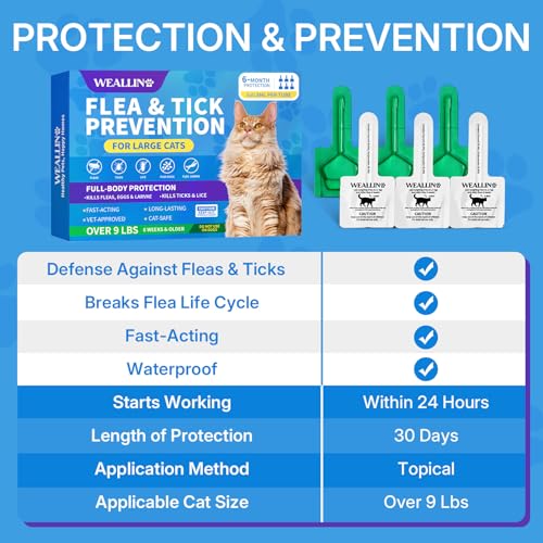 Flea and Tick Prevention for Large Cat
