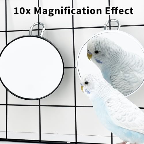 2PCS Bird Mirror Toy for Cage