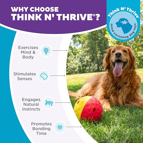 Nina Ottosson Treat Tumble Dog Toy Puzzle Ball (1 Count (Pack of 1))