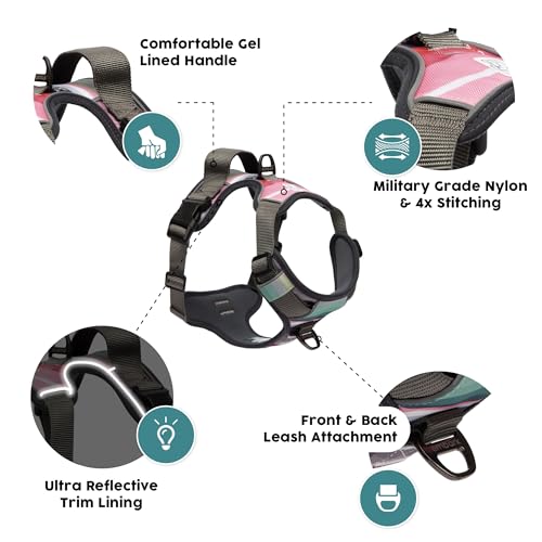 Embark No Pull Dog Harness (S / Baja)