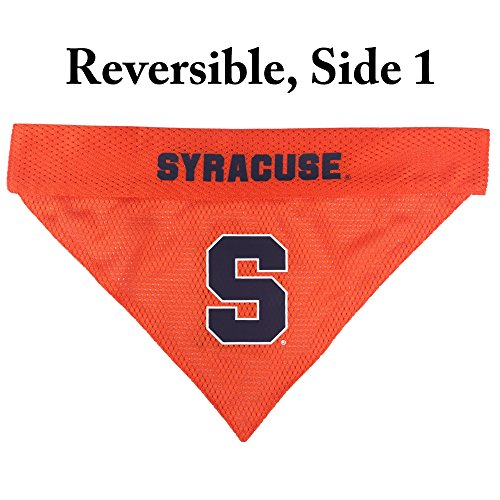 Collegiate Pet Accessories (Small/Medium / Syracuse Orange)
