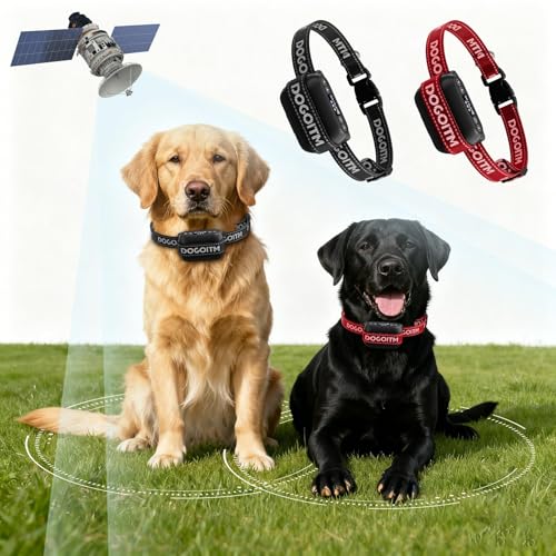 GPS Wireless Dog Fence for 2 Dogs (Multi-colored for 2 Dogs)