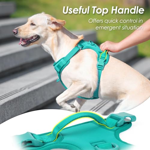 No Pull Dog Harness for Large Sized Dogs Puppy Vest No Choke (MARRS Green / L(Neck:20.9-31.5", Chest:24.8-37.4"))
