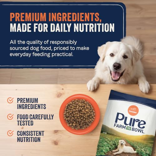 Pure Farm to Bowl Dog Food (4 Pound (Pack of 1))
