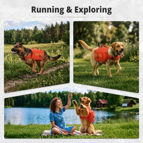 Dog Backpack & Saddle Bag (Orange)