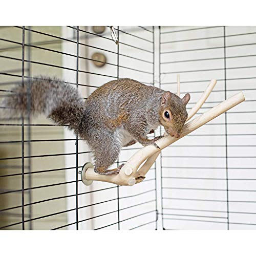 Multi Branch Perch