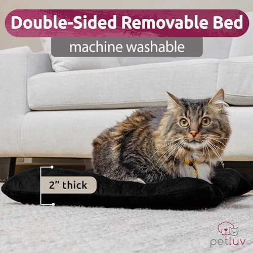 Cat & Dog Pet Carrier (Black / Large)