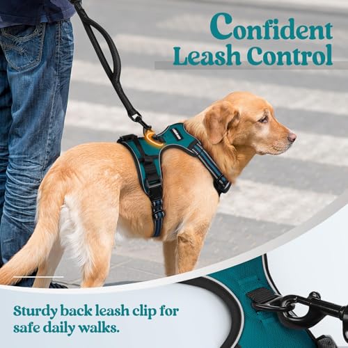 Dog Harness No Pull with 2 Leash Clips (X-Large / Blue Coral)