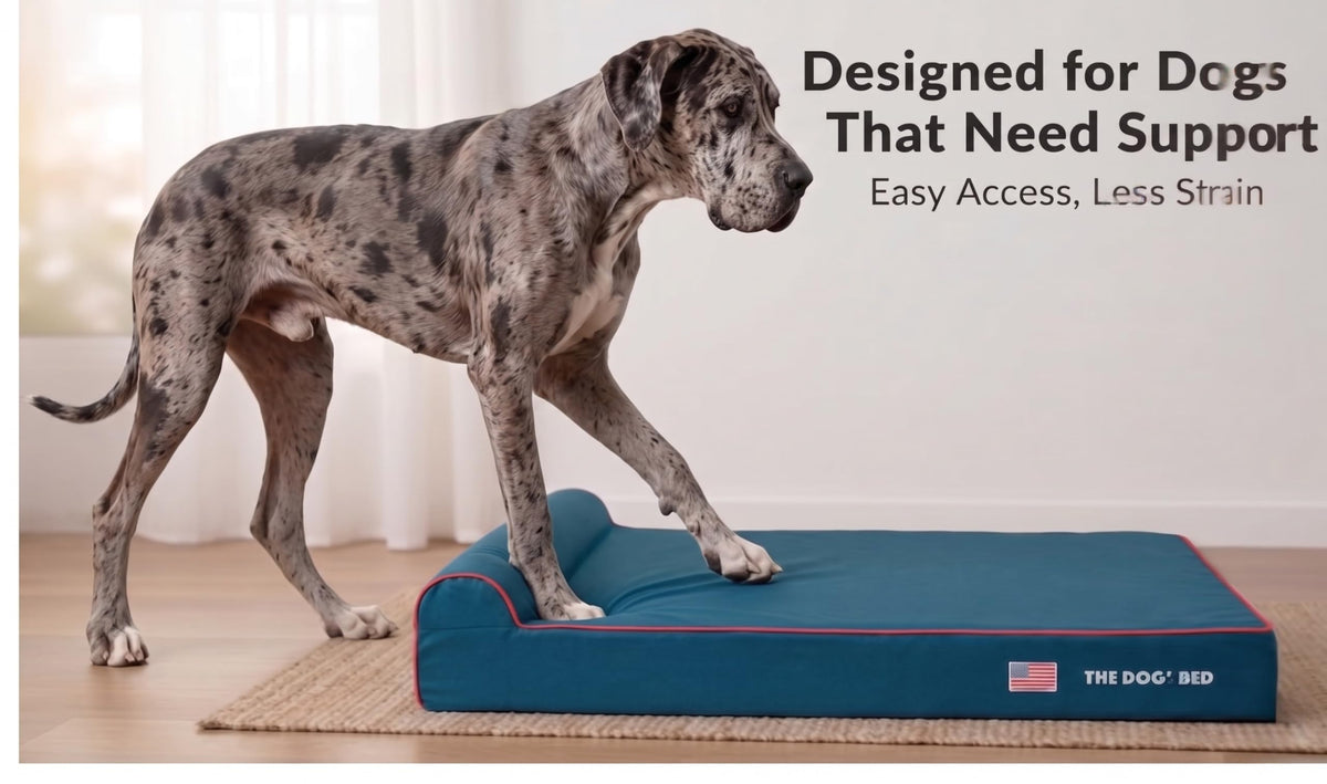 The Dog’s Bed Orthopedic Memory Foam Dog Bed with Headrest XXL 6 (Blue with Red Trim US Flag / XXL (54"L x 36"W x 6"Th))