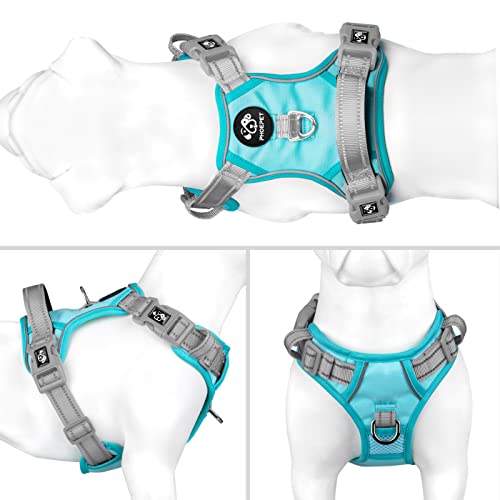 No Pull Dog Harness (Mint Green Base & Grey Straps / Small)