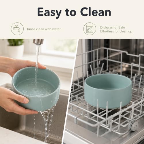 Ceramic Dog Bowls Elevated (Light Green)