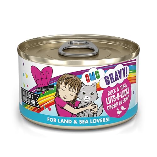 B.F.F. OMG Best Feline Friend Oh My Gravy! (2.8 Ounce (Pack of 12))