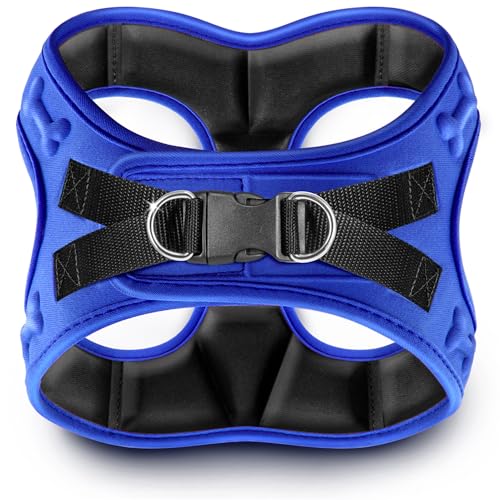 Comfort Fit No Pull Dog Harness for Small Medium & Large Dogs (XXS (Chest 11.5"-13") / Blue)