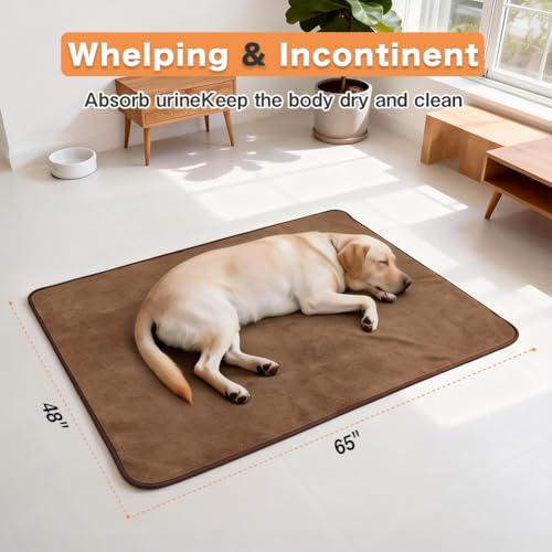 Washable Pee Pads for Dogs (65"x48" -1 Pack / Brown)