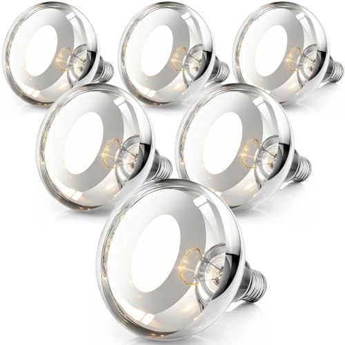 250W Clear Heat Lamp Bulbs (White / 6 Pack)