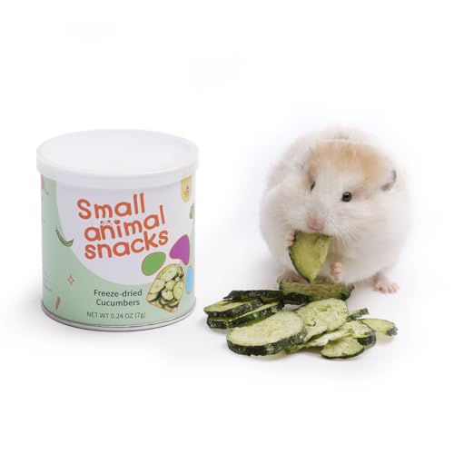 Hamster Snack & Treats Toy