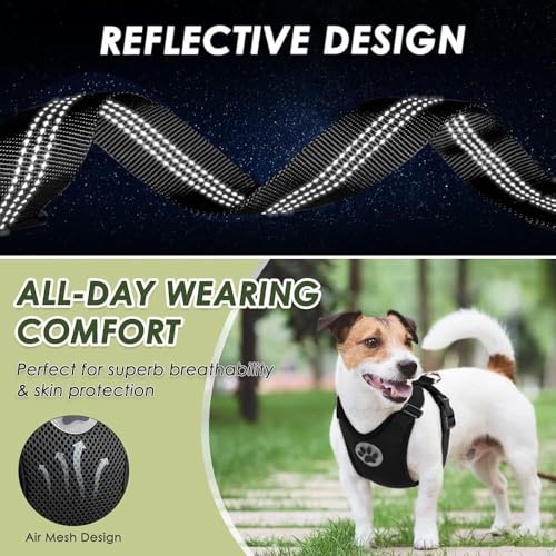 Dog Car Harness Seat Belt (Large / Black)