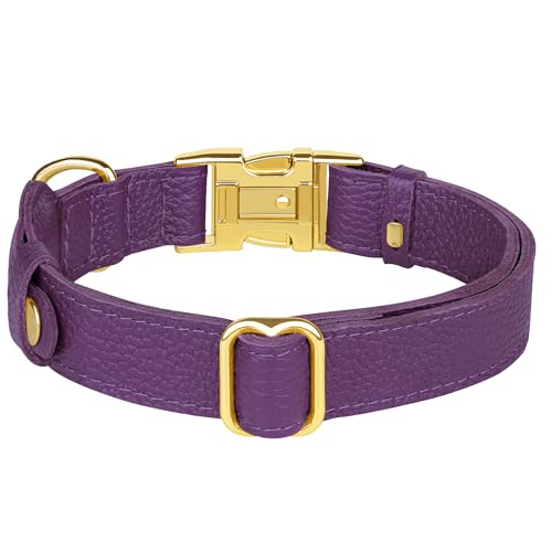 Leather Airtag Dog Collar (Purple / M, 14"-18" Neck Fit)